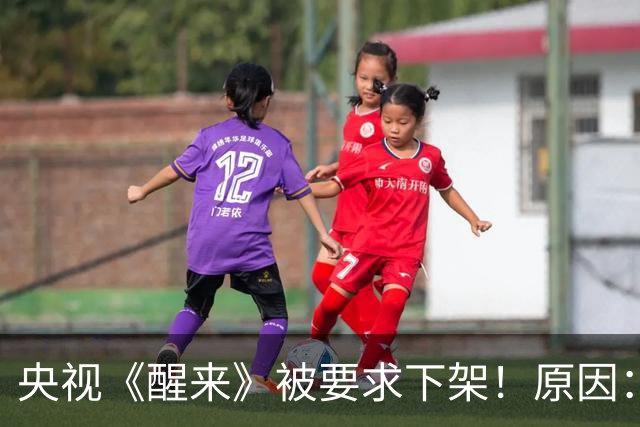央视《醒来》被要求下架！原因：个个时髦精，假得离谱